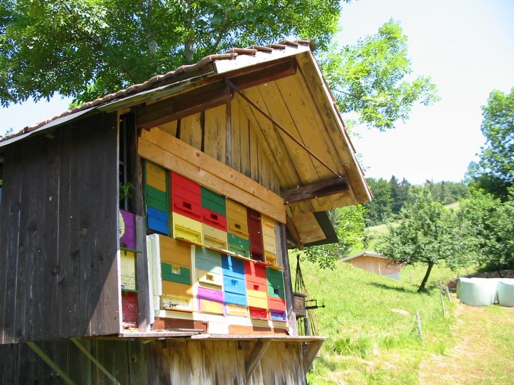 Haus Am Eckle Apartamento Kleines Wiesental Exterior foto